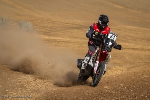 Martim Ventura em destaque na categoria Rally 2